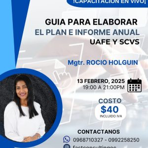 Capacitación - Elaboración del plan e informe anual /13 febrero 2025